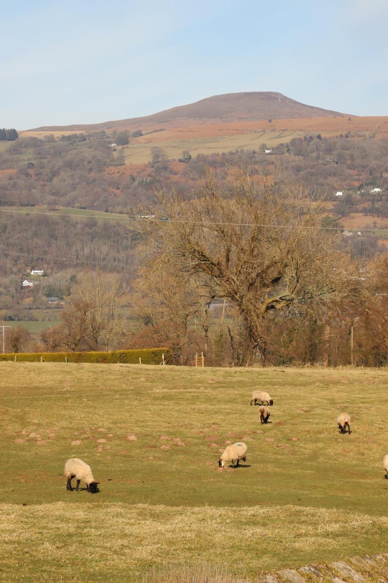 Cowshed In The Black Mountains Abergavenny ภายนอก รูปภาพ